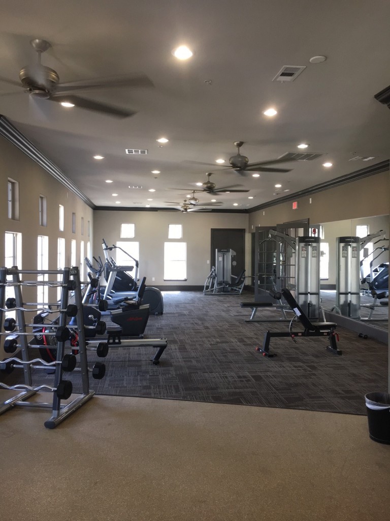 The Landing at Round Rock Vector Concepts