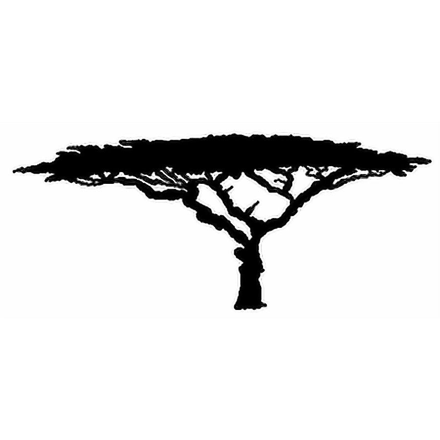 Acacia Tree Vector at Collection of Acacia Tree