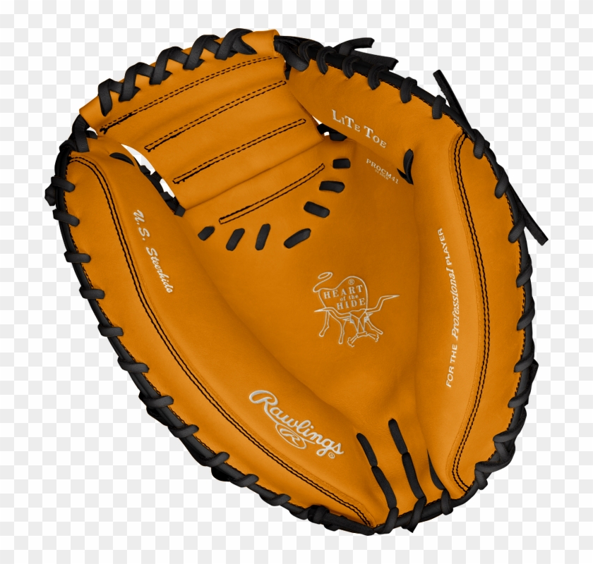 Baseball Glove Vector at Collection of Baseball Glove