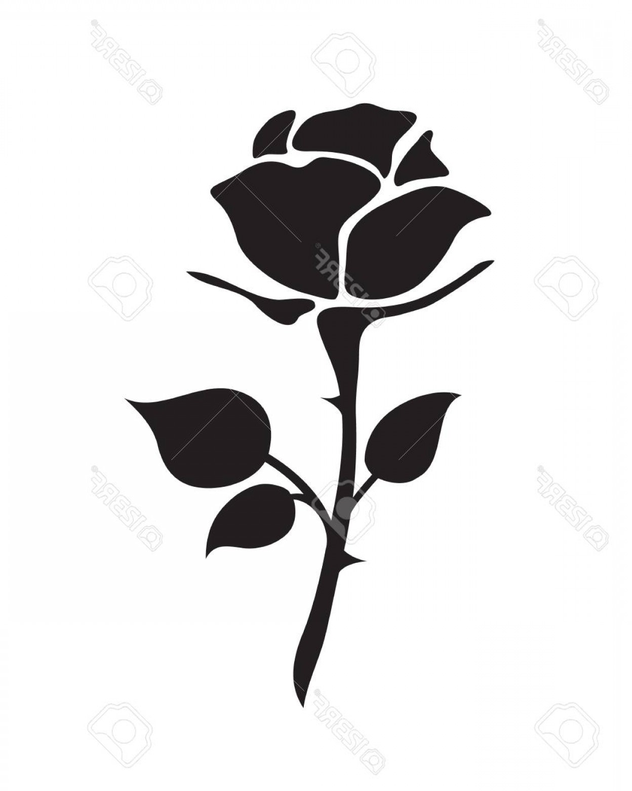 Black And White Rose Vector at Collection of Black