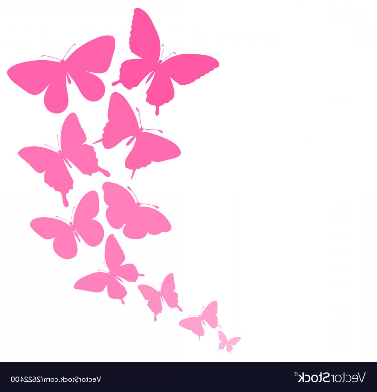 Butterfly Border Vector at Collection of Butterfly