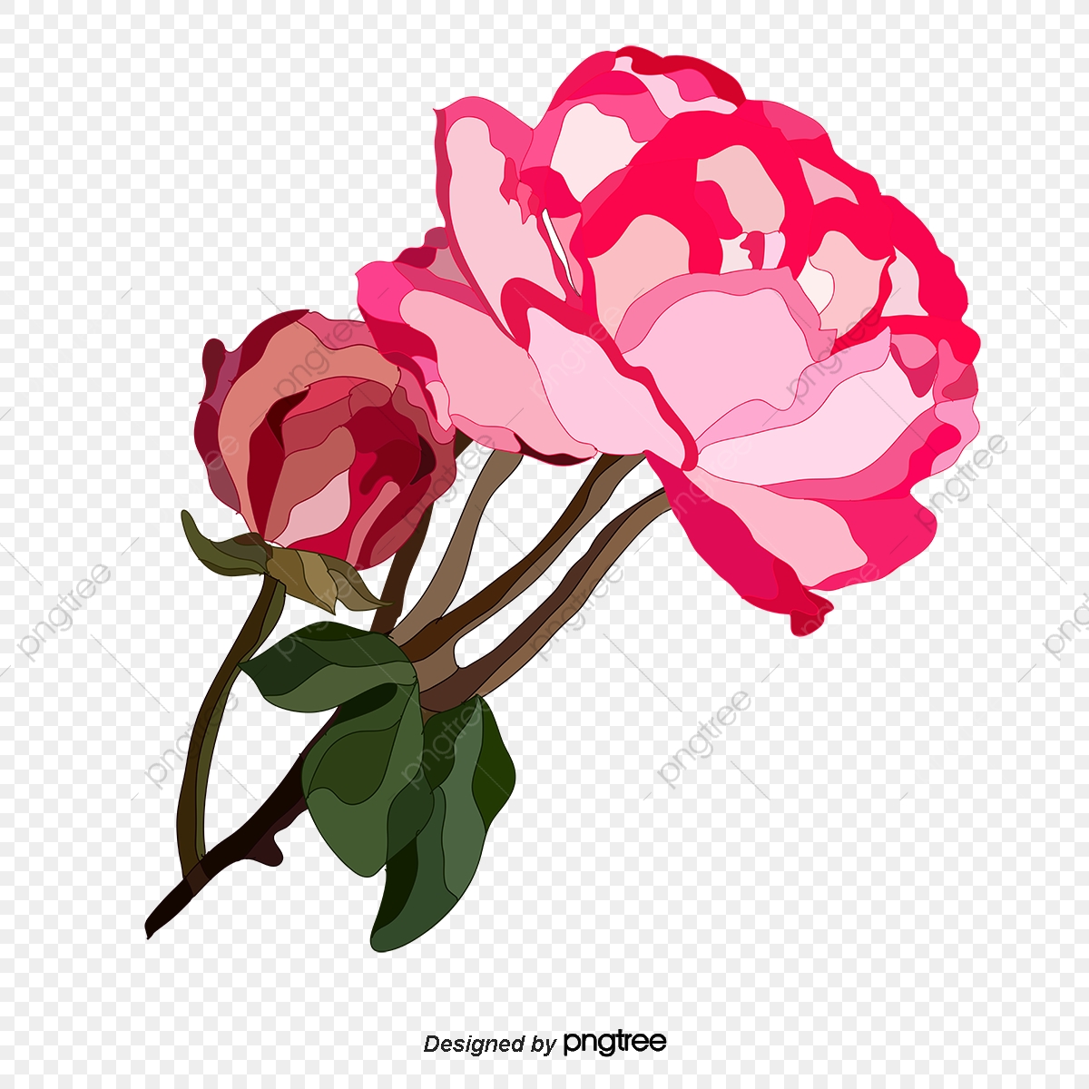 Carnation Flower Vector at Collection of Carnation Flower Vector free for