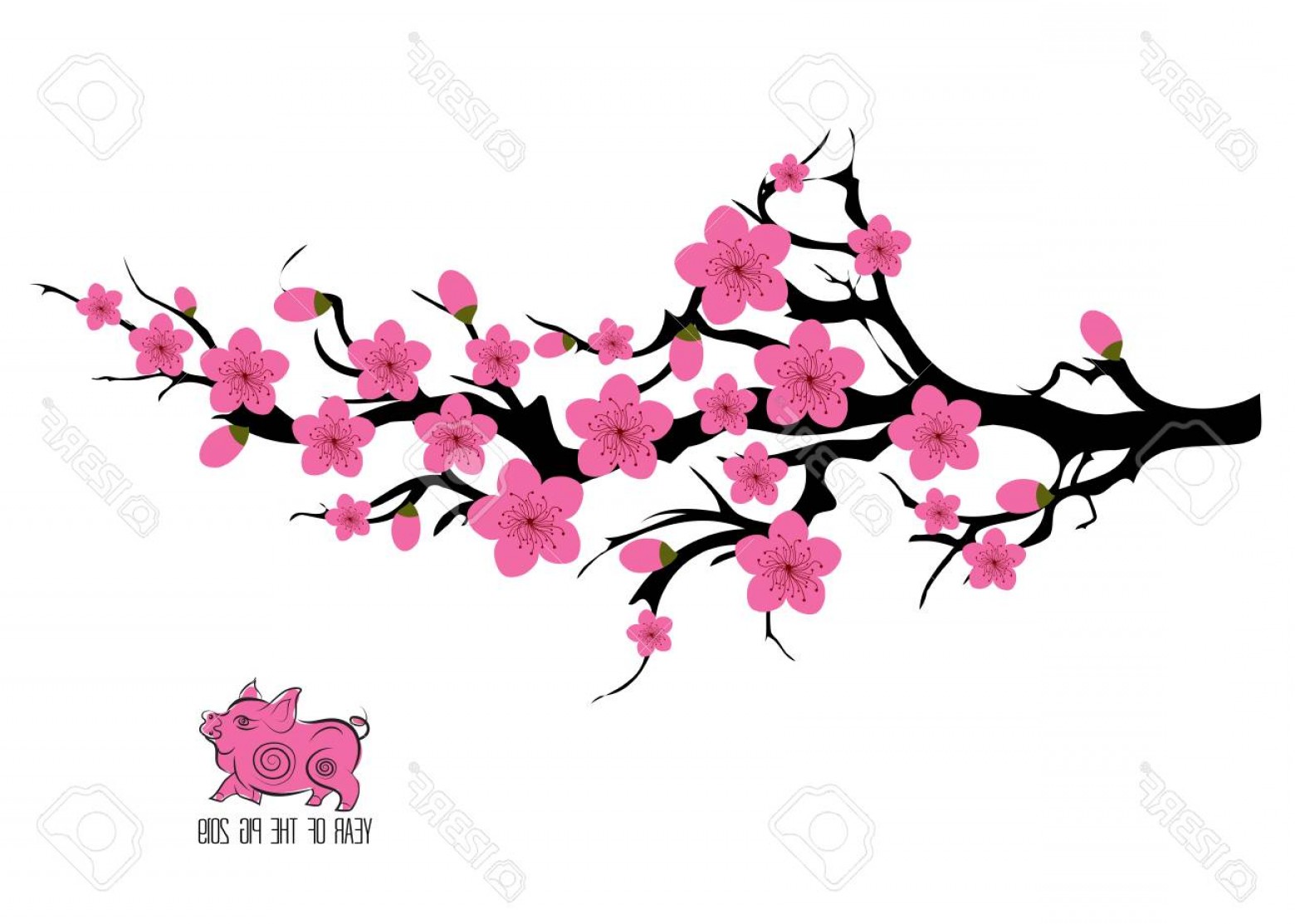 Cherry Blossom Tree Vector at Collection of Cherry