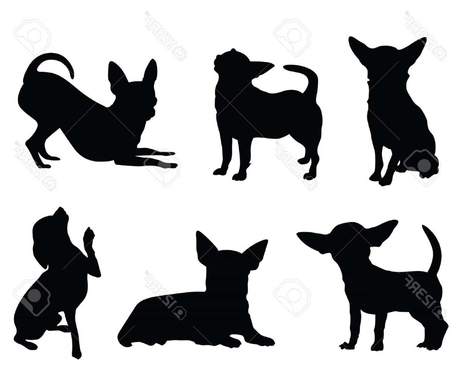 Chihuahua Silhouette Vector at