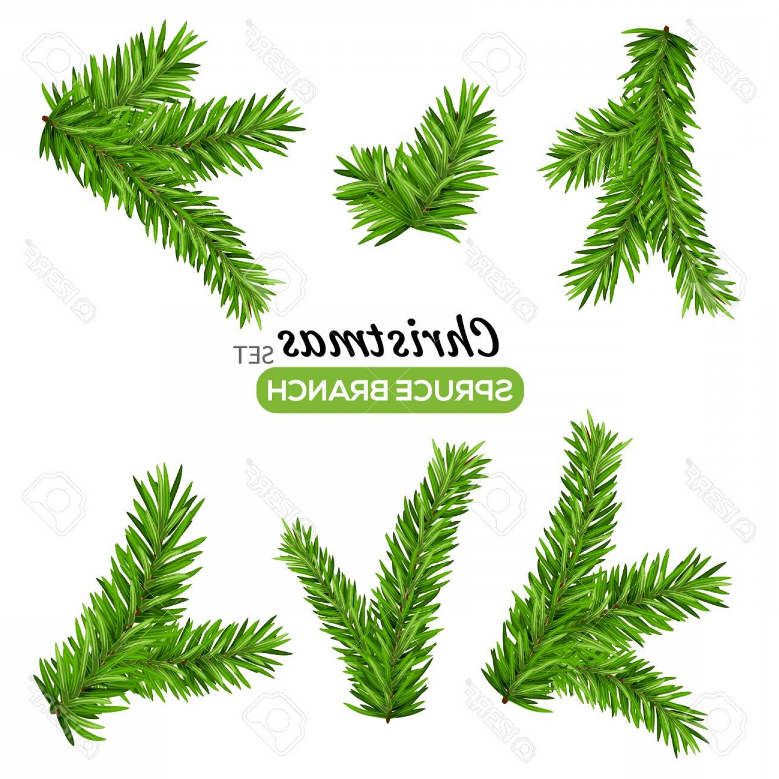Christmas Tree Branch Vector at Collection of