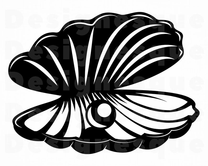 Clam Vector at Collection of Clam Vector free for