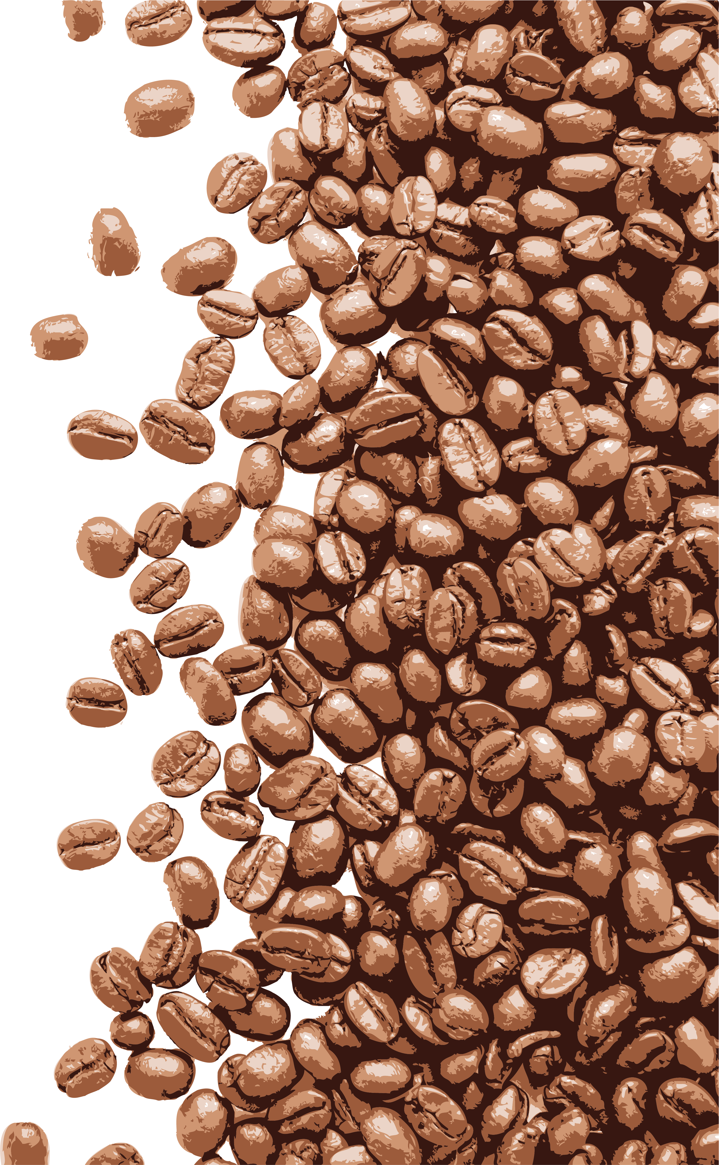 Coffee Bean Vector Png at Collection of Coffee Bean