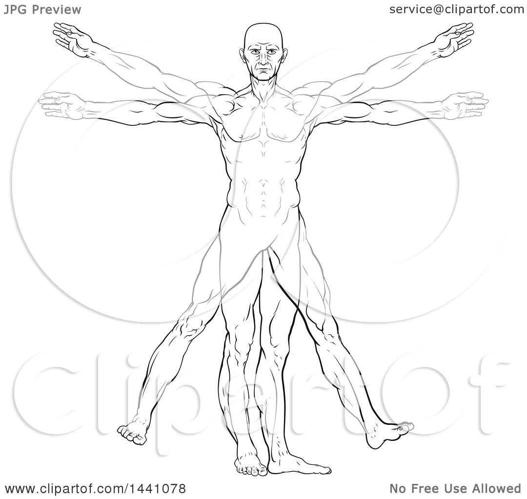 Da Vinci Man Vector at Vectorified.com | Collection of Da Vinci Man