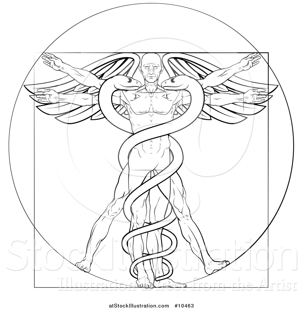 Da Vinci Man Vector at Vectorified.com | Collection of Da Vinci Man