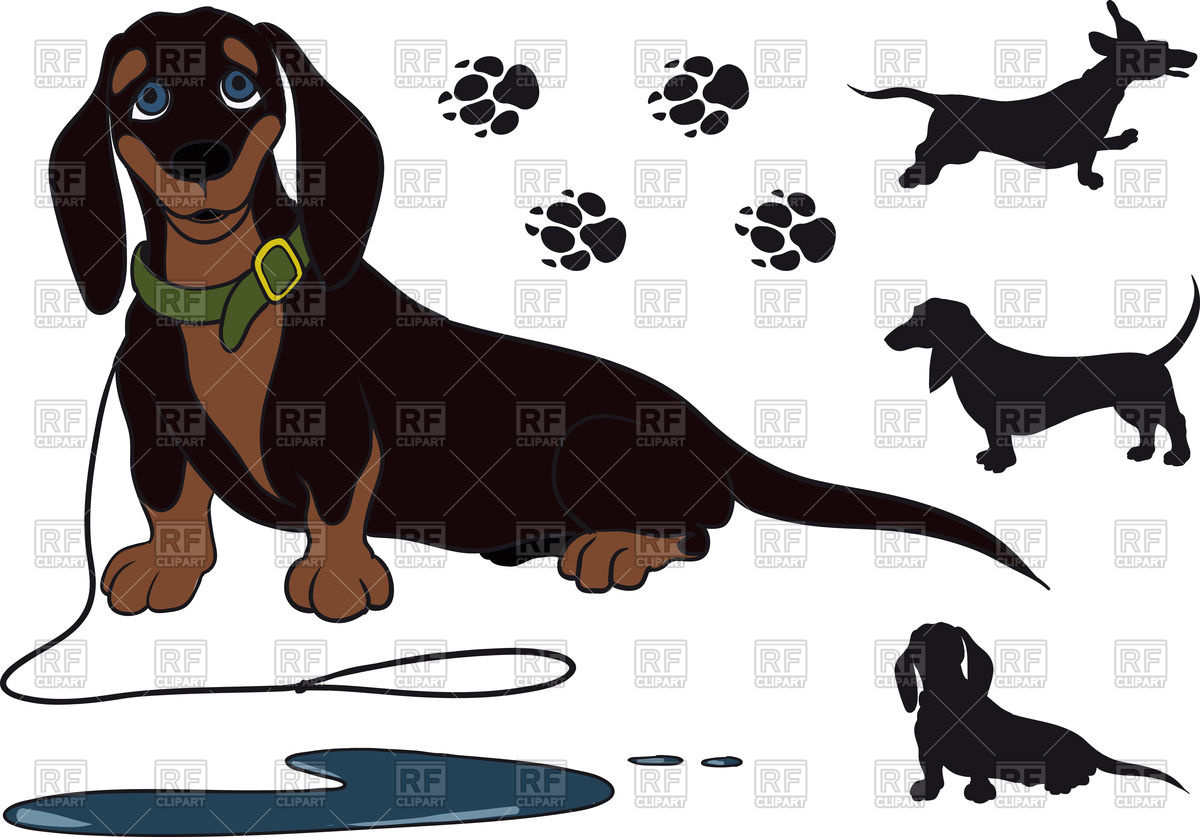 Dachshund Vector at Collection of Dachshund Vector