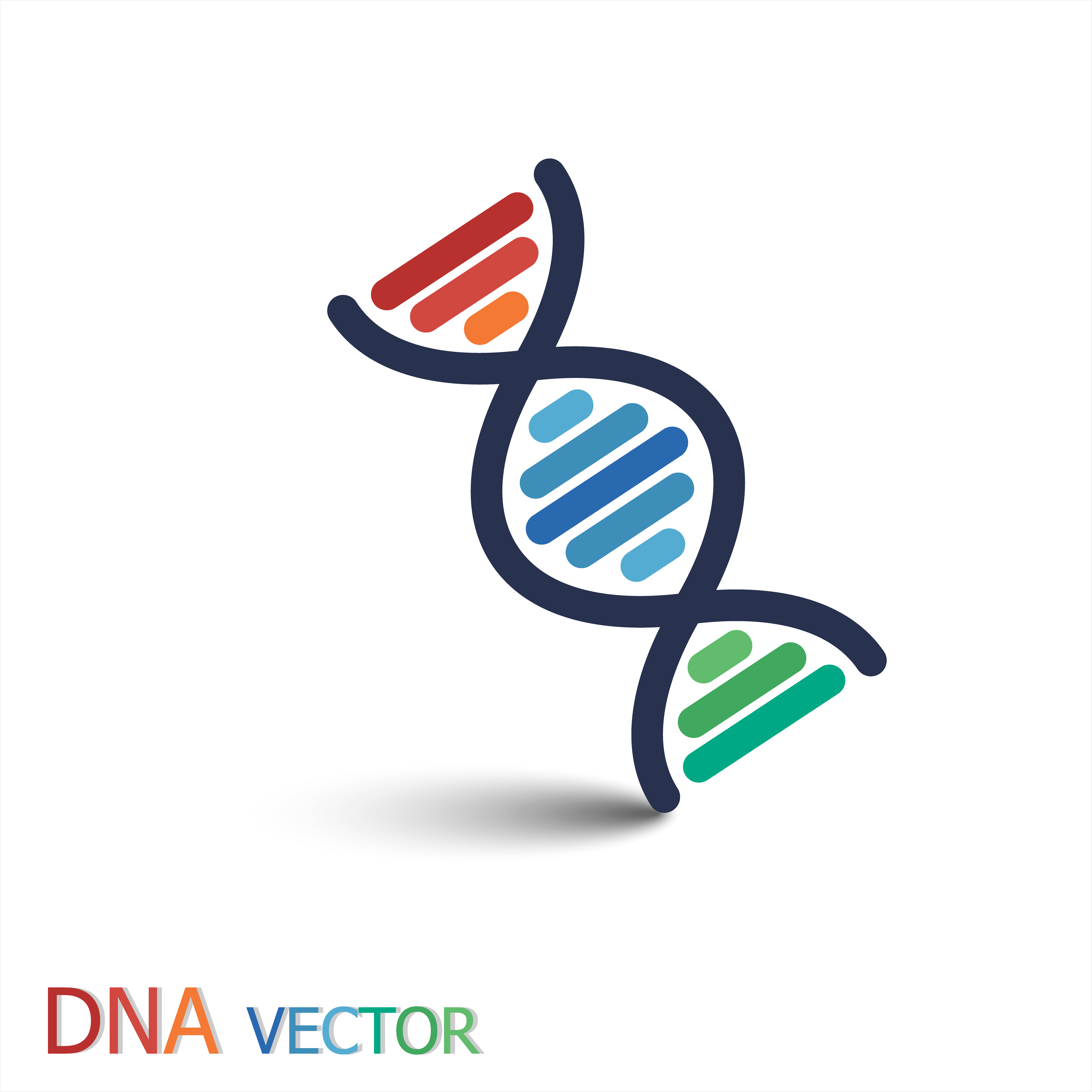 Dna Symbol Vector at Collection of Dna Symbol Vector