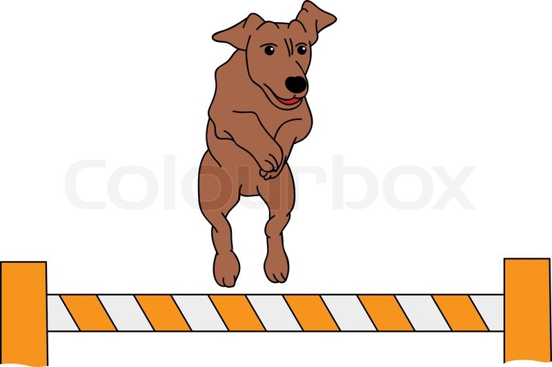Dog Agility Vector at Collection of Dog Agility