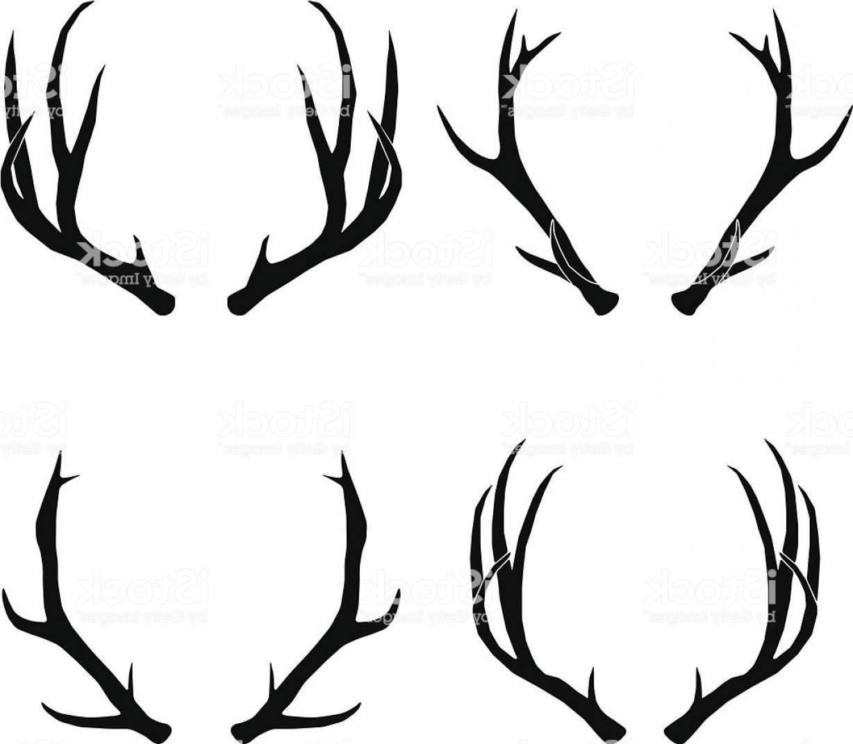 Elk Antler Vector at Collection of Elk Antler Vector