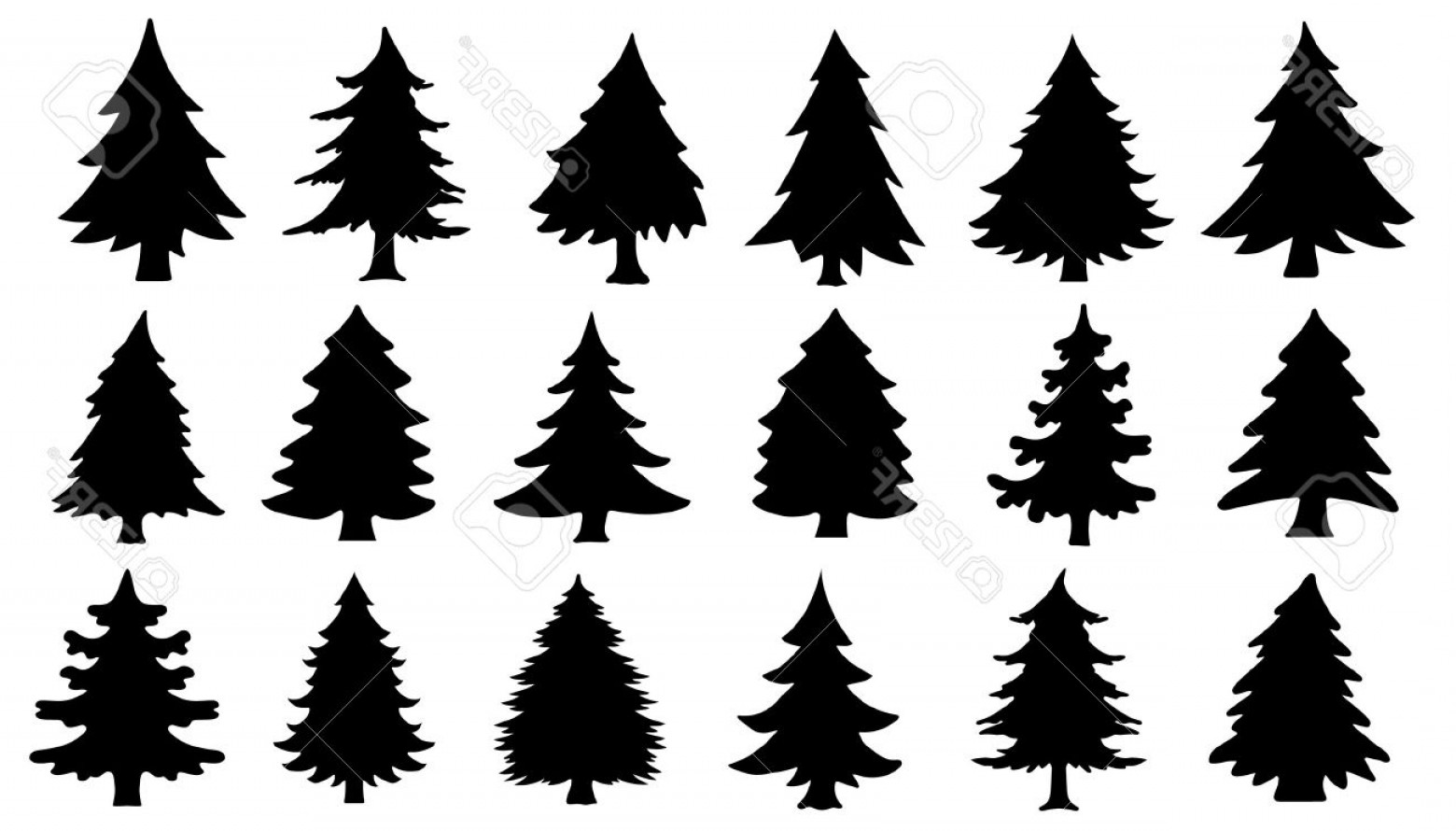 Evergreen Tree Vector at Collection of Evergreen Tree
