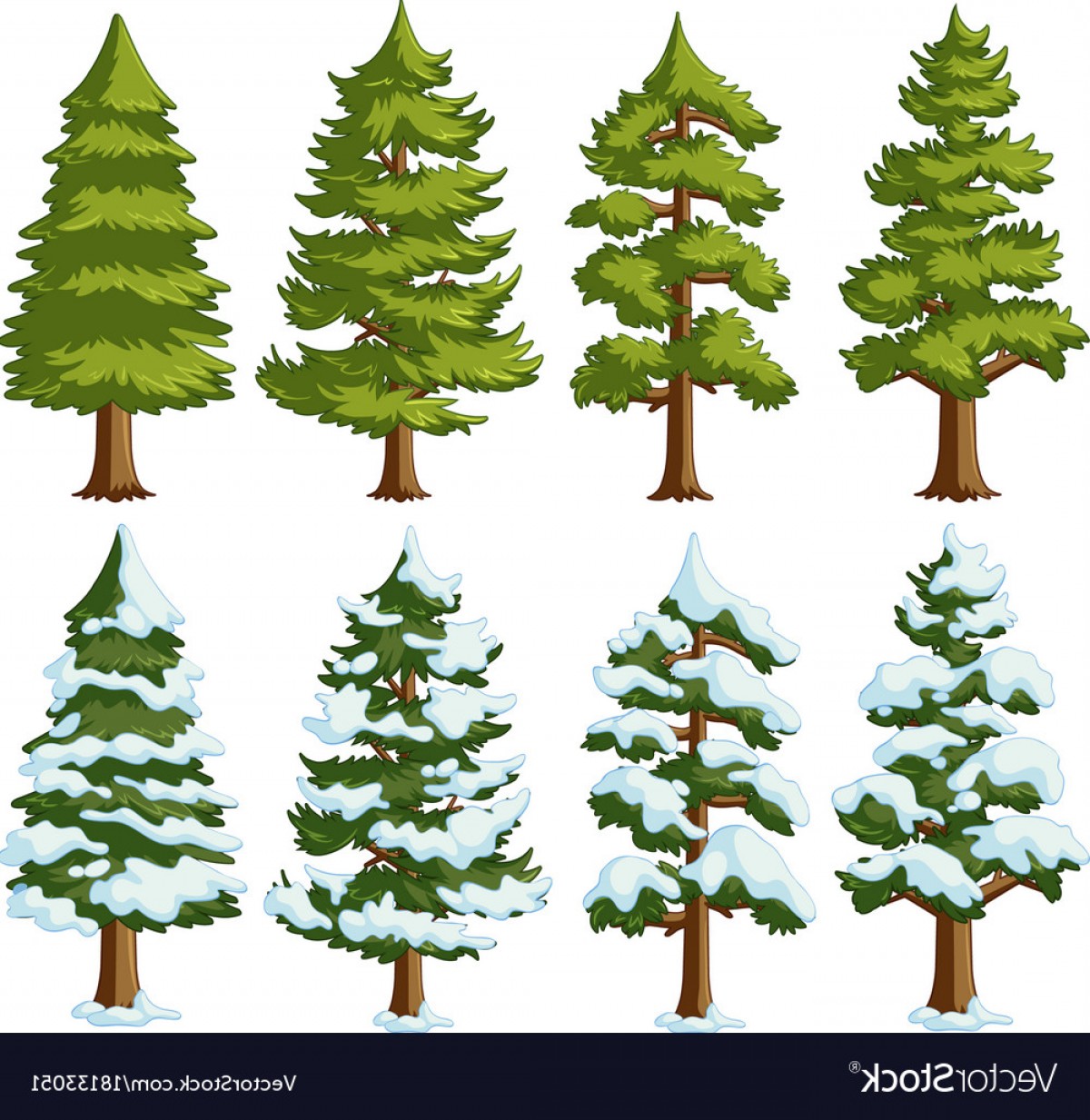 Evergreen Tree Vector at Collection of Evergreen Tree