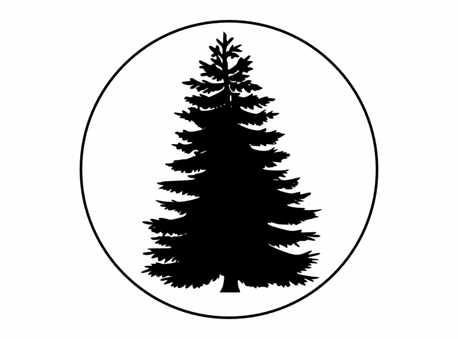Fir Tree Silhouette Vector at Collection of Fir Tree