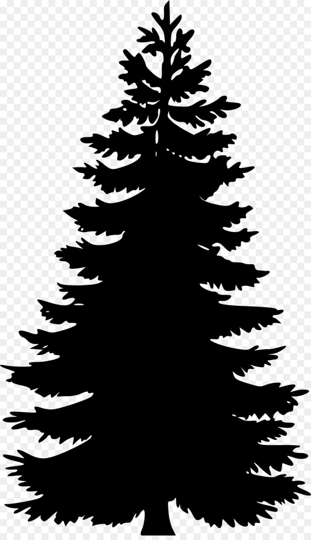 Fir Tree Vector at Collection of Fir Tree Vector free