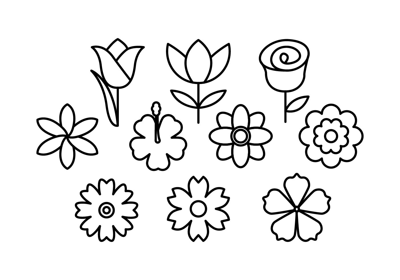 Flower Line Drawing Vector at Collection of Flower