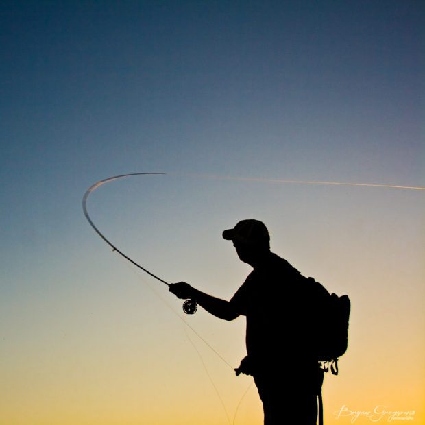 Fly Fishing Silhouette Vector at Collection of Fly