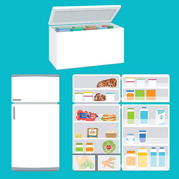 Frozen Food Vector at Collection of Frozen Food