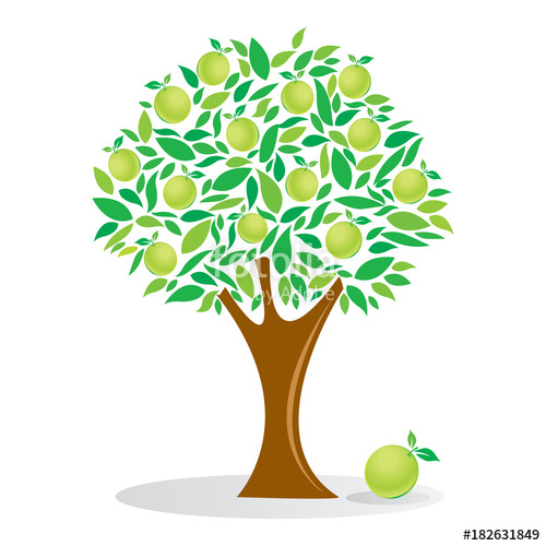 Fruit Tree Vector at Collection of Fruit Tree Vector