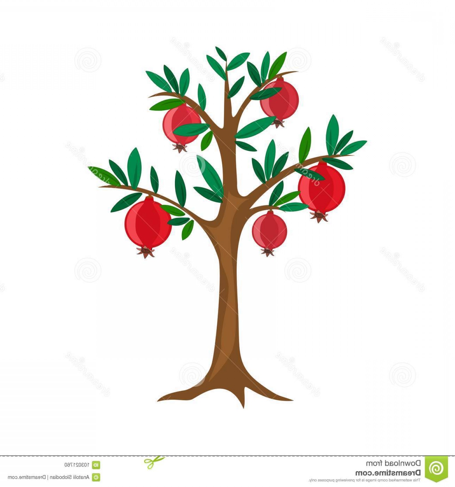 Fruit Tree Vector at Collection of Fruit Tree Vector