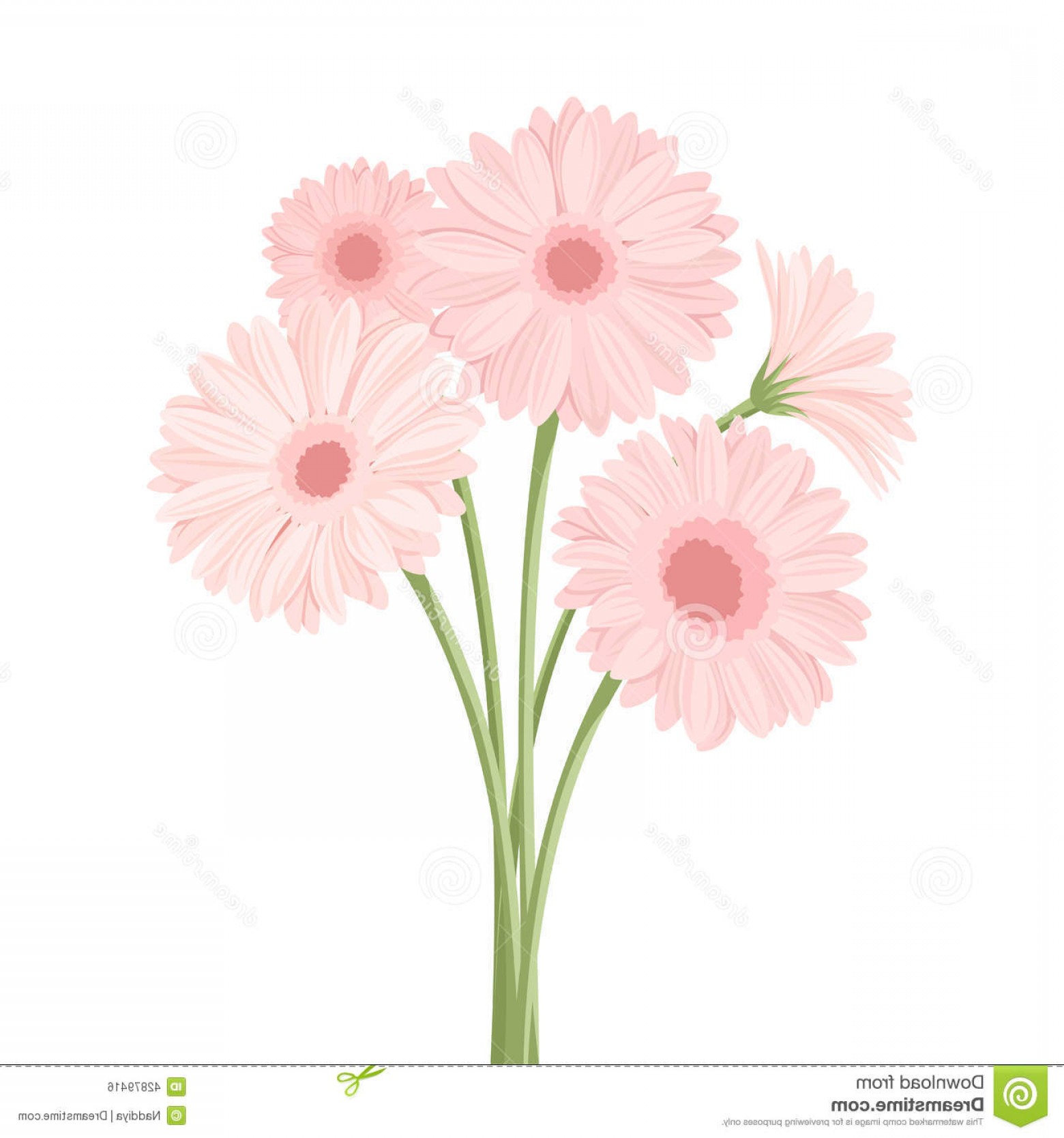 Gerber Daisy Vector at Collection of Gerber Daisy