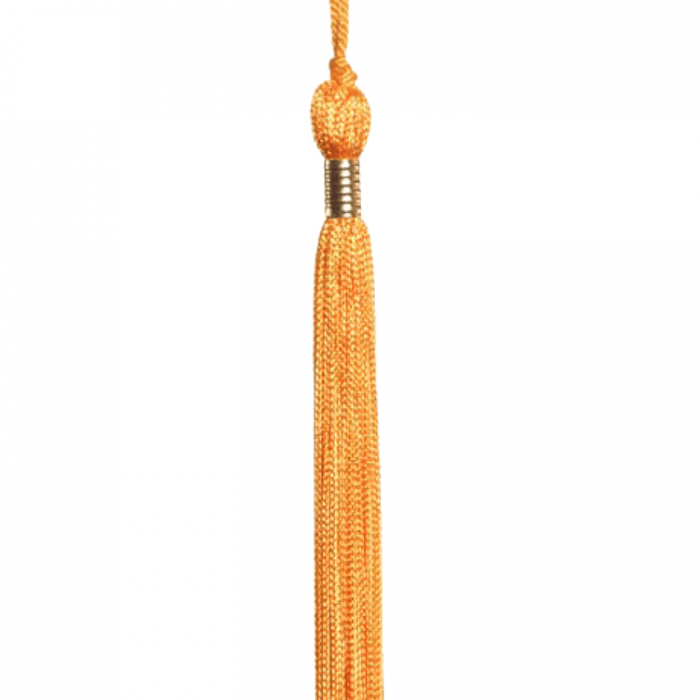 Graduation Tassel Vector at Collection of Graduation