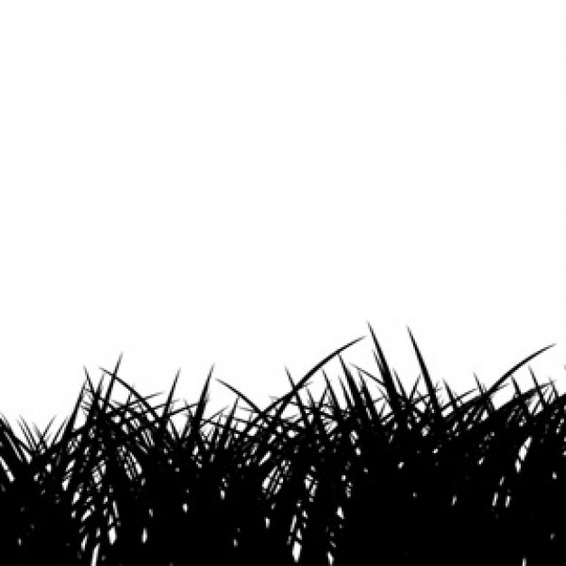 Grass Line Drawing at Explore collection of Grass