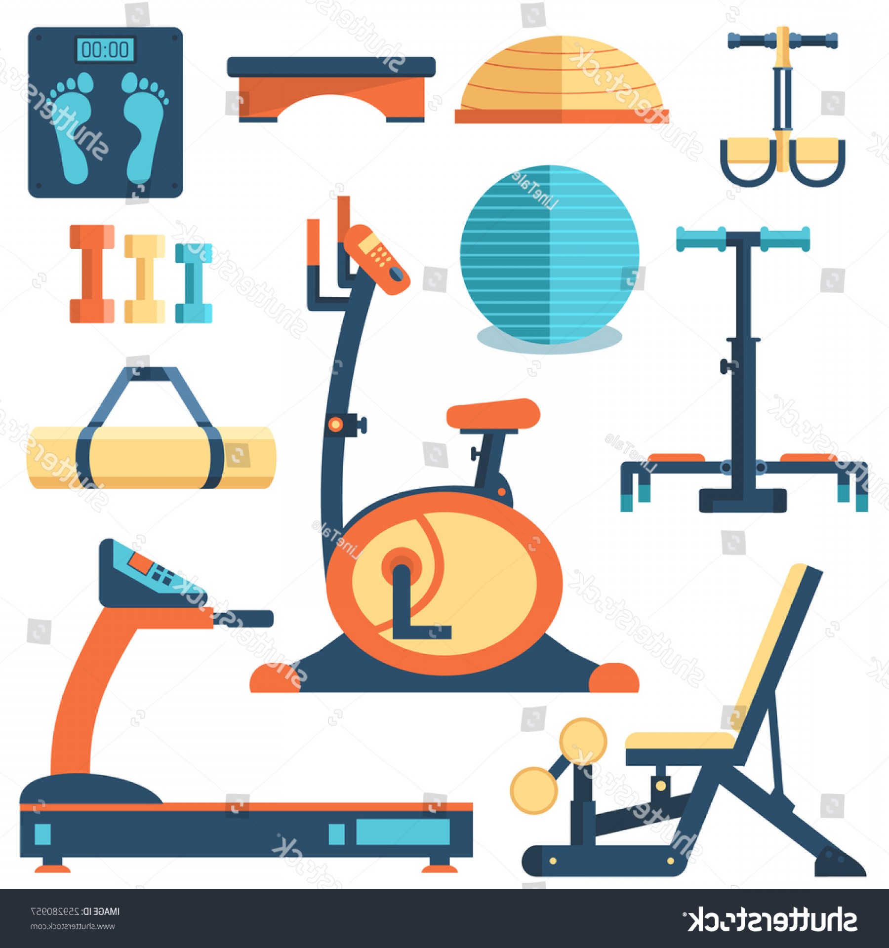 Gym Equipment Vector at Collection of Gym Equipment