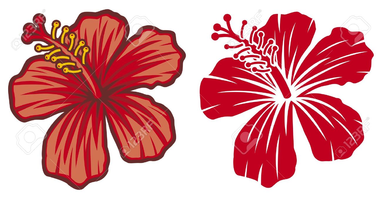 Hawaiian Flower Vector at Collection of Hawaiian