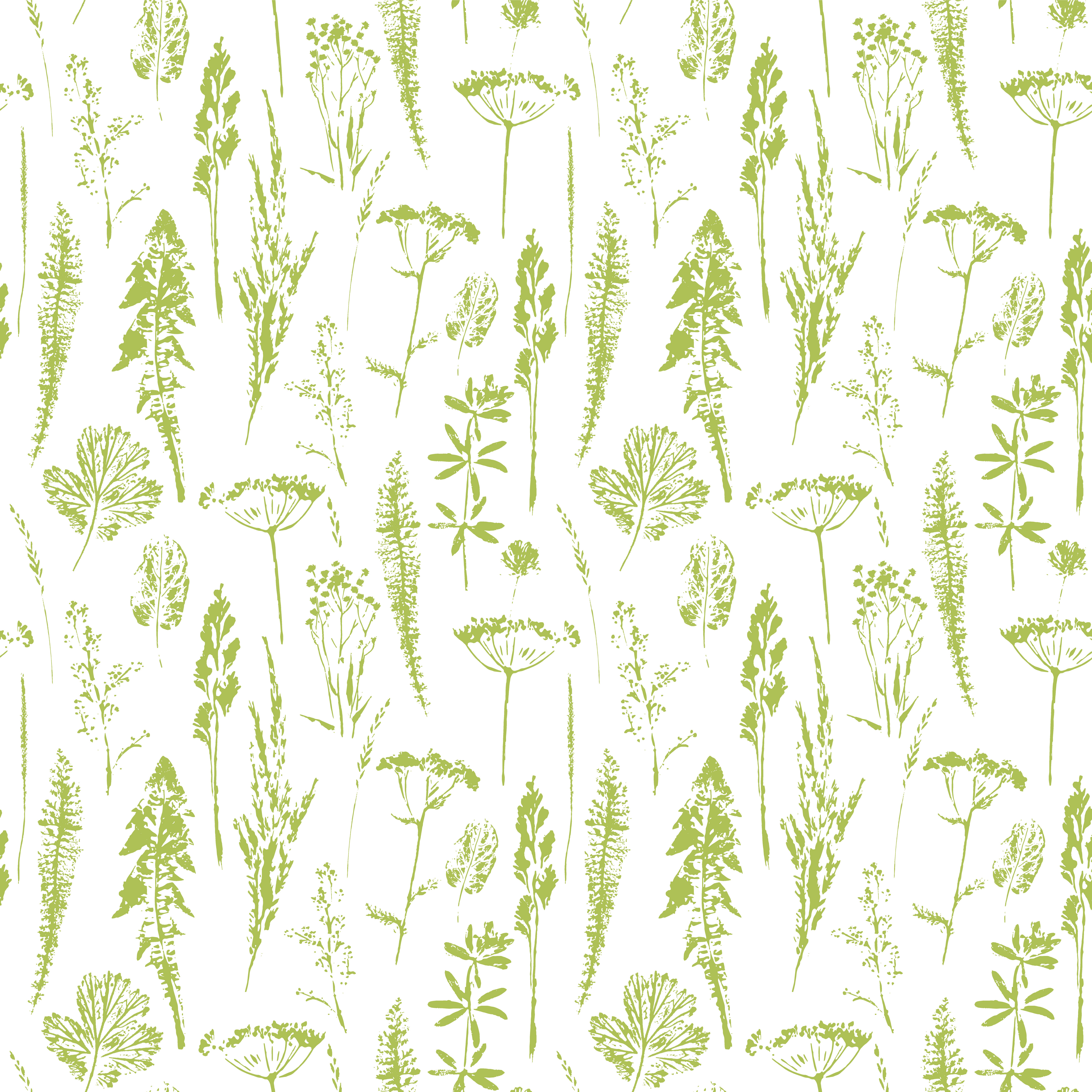 Herbal Background Vector at Collection of Herbal