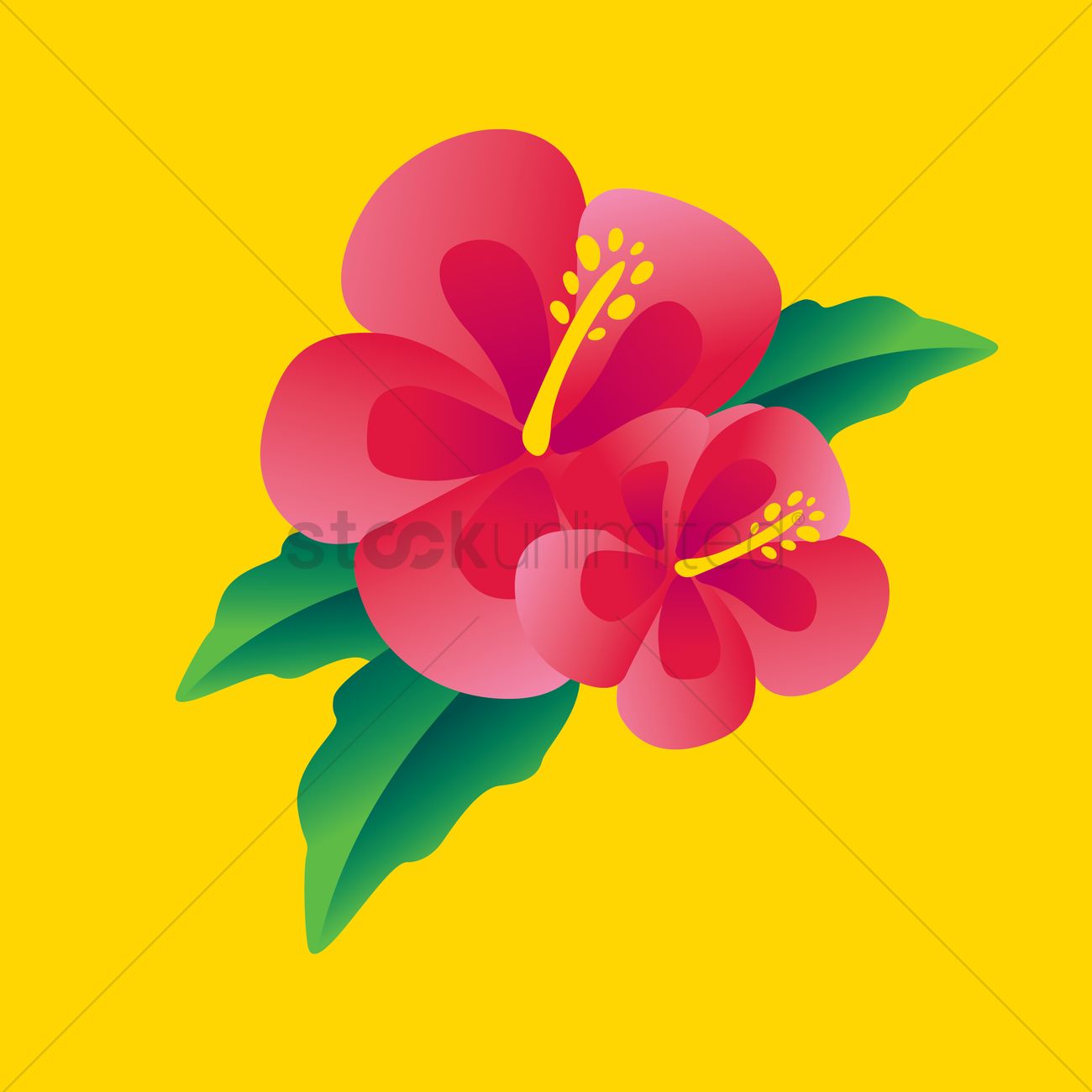 Hibiscus Flower Vector at Collection of Hibiscus Flower Vector free for