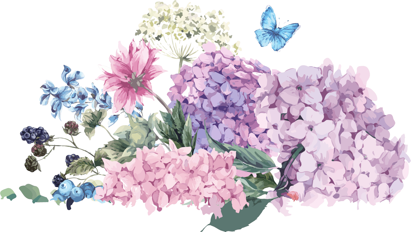 Hydrangea Vector at Collection of Hydrangea Vector