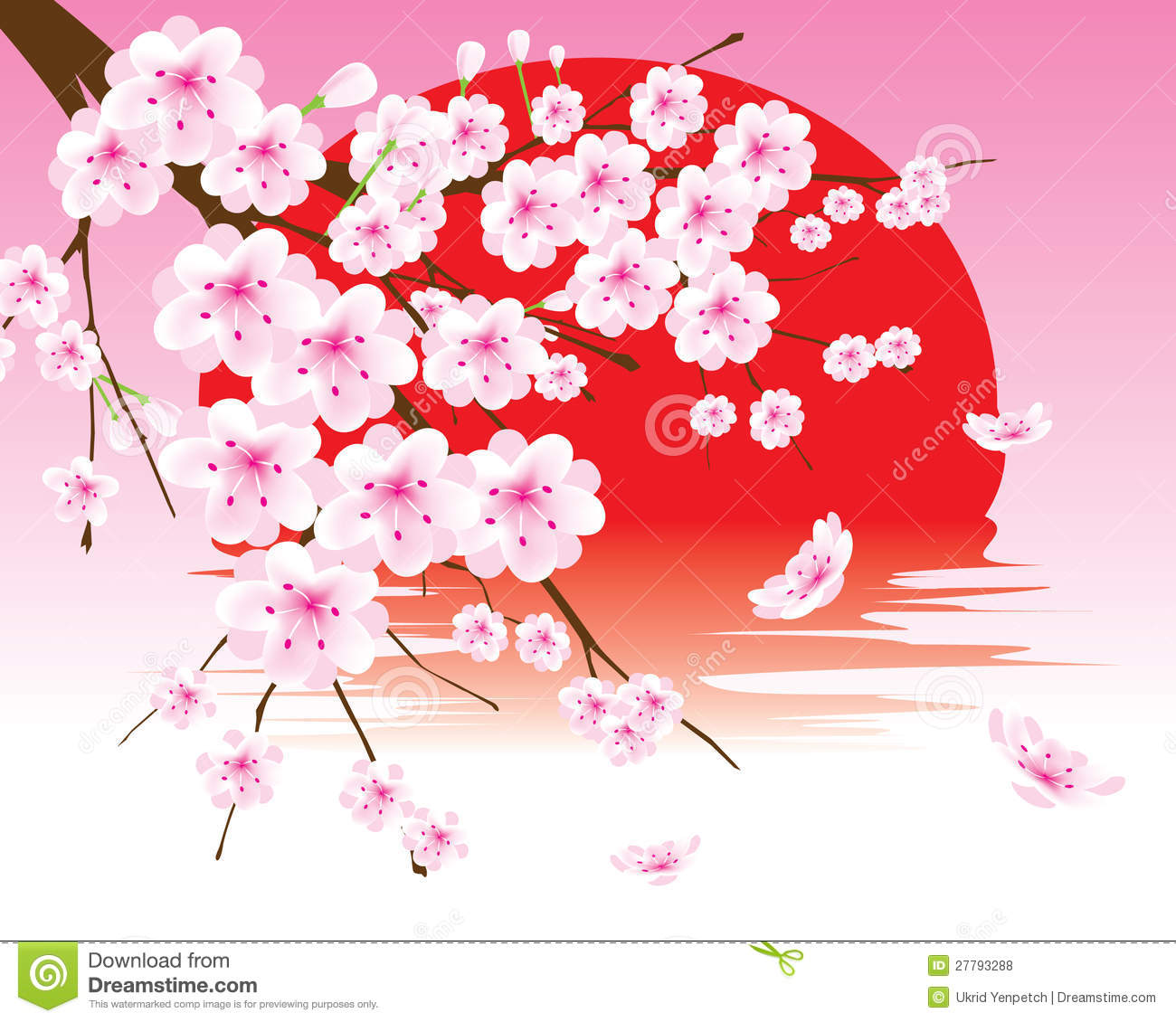 Cherry Blossom Vector Art at Collection of Cherry