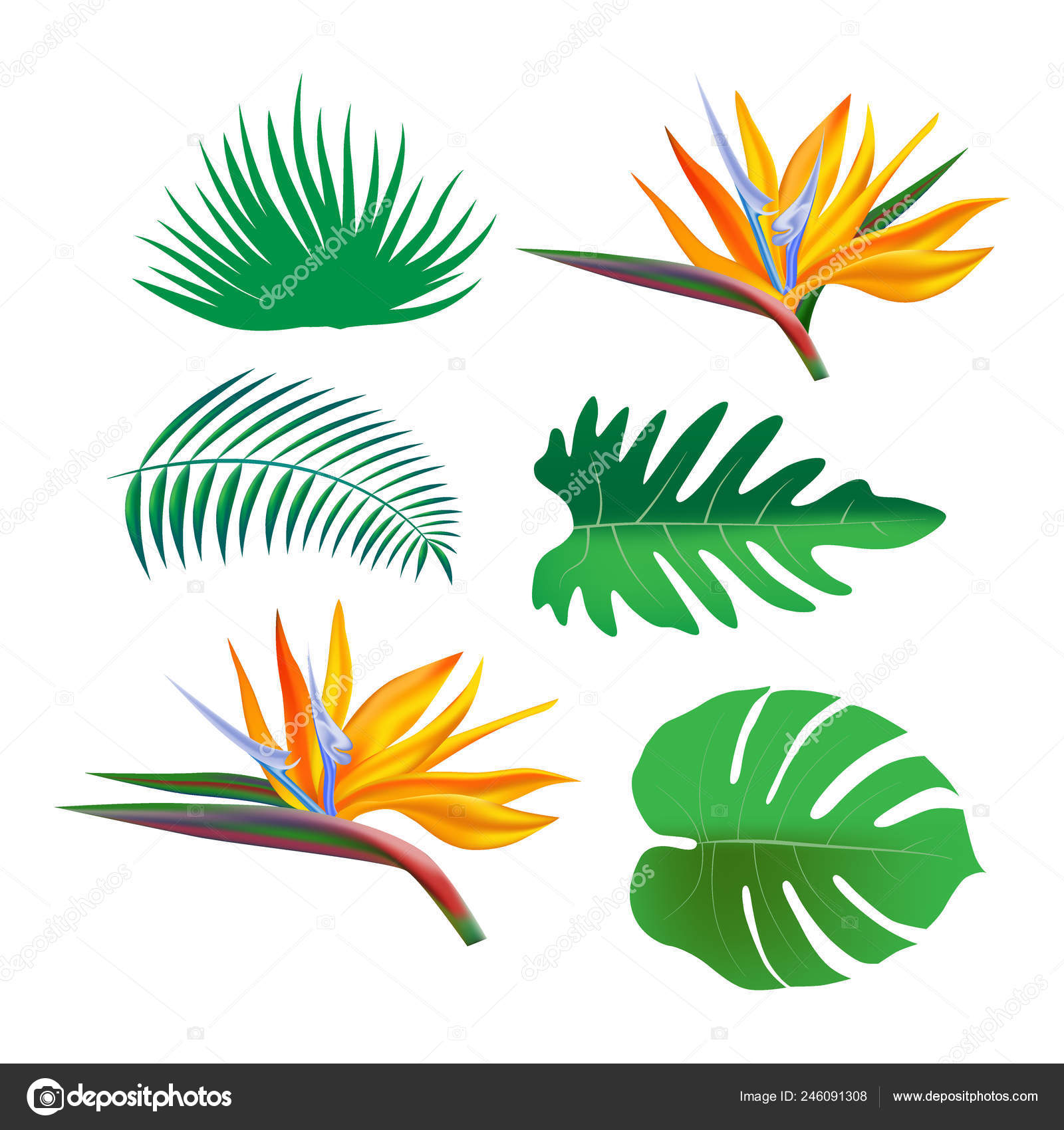 Jungle Background Drawing at Explore collection of