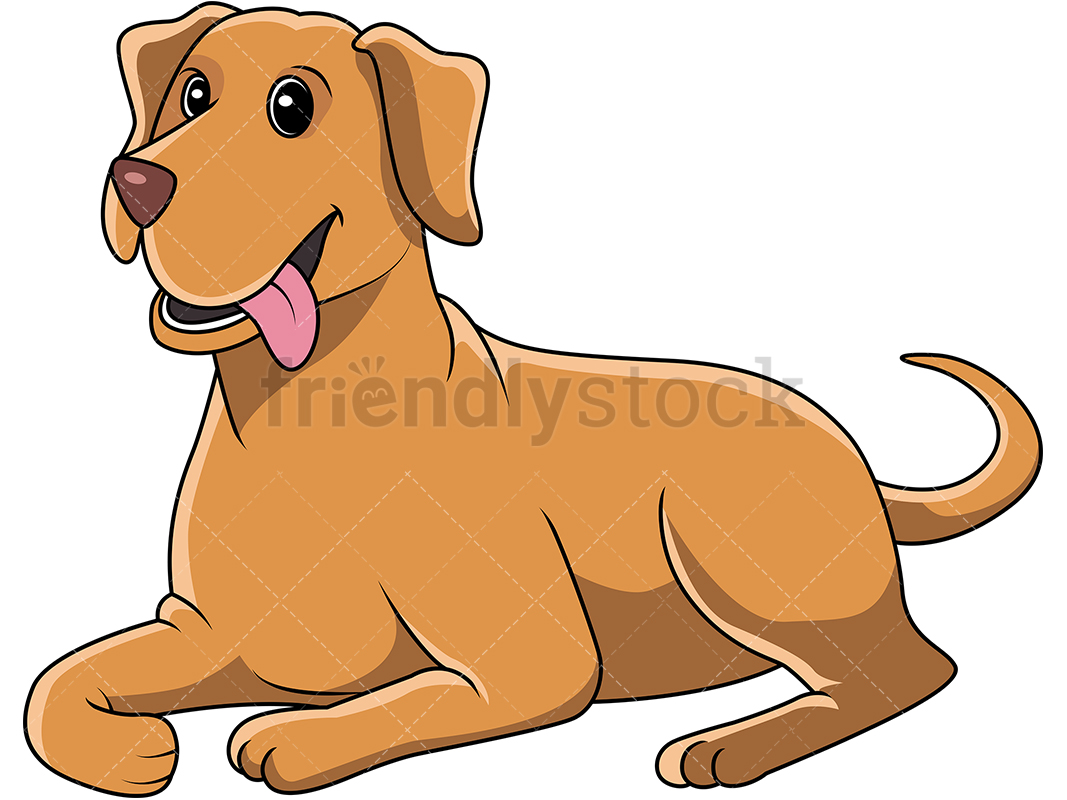 146 Labrador vector images at