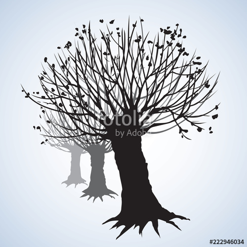 Leafless Tree Sketch at Explore collection of
