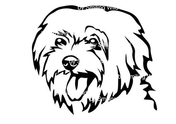 Maltese Dog Vector at Collection of