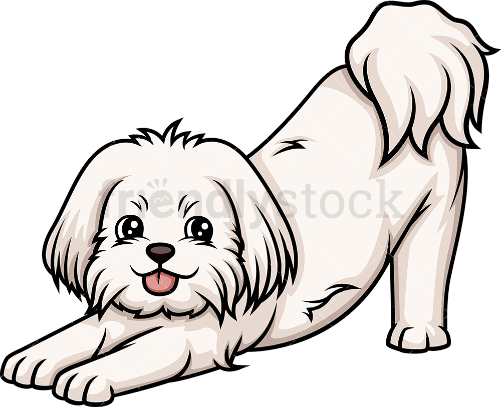 Maltese Dog Vector at Collection of Maltese Dog