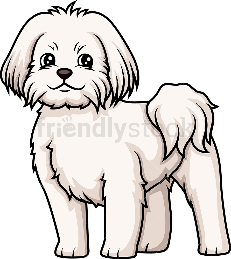 Maltese Dog Vector at Collection of Maltese Dog