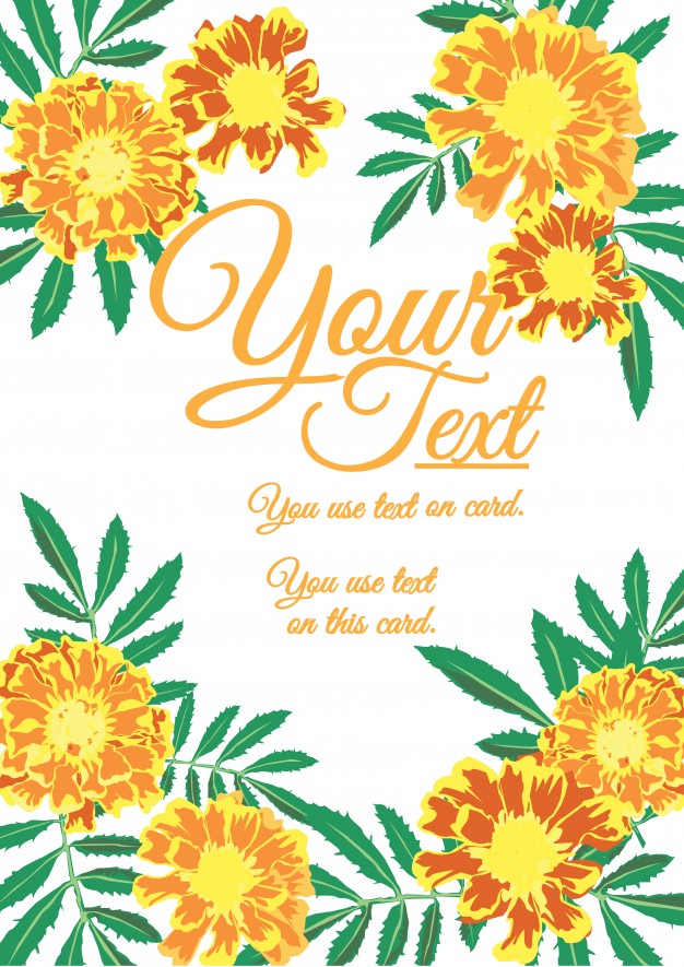 Marigold Vector at Collection of Marigold Vector free