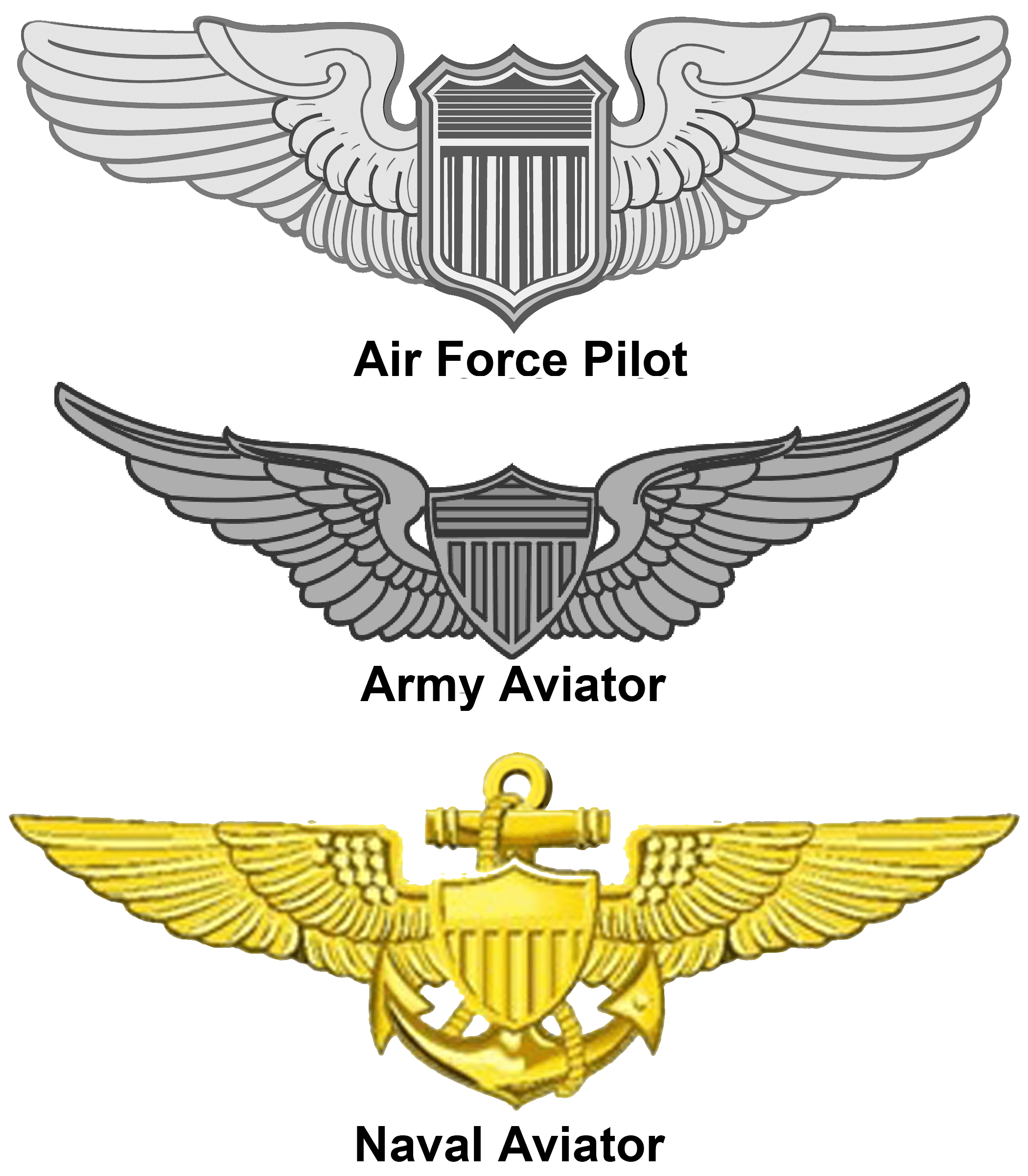 Naval Aviator Wings Vector at Collection of Naval