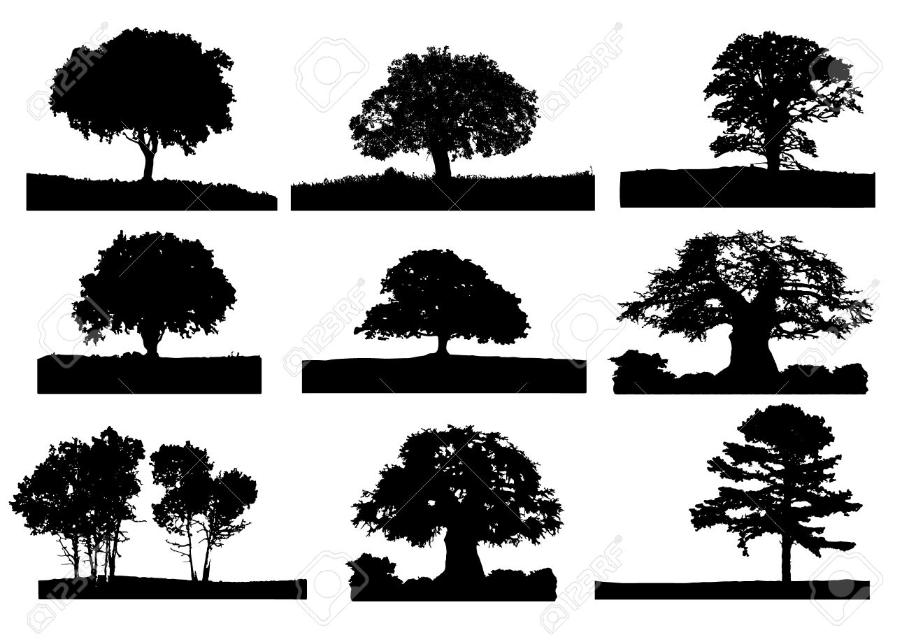 Oak Tree Vector Free at Collection of Oak Tree Vector