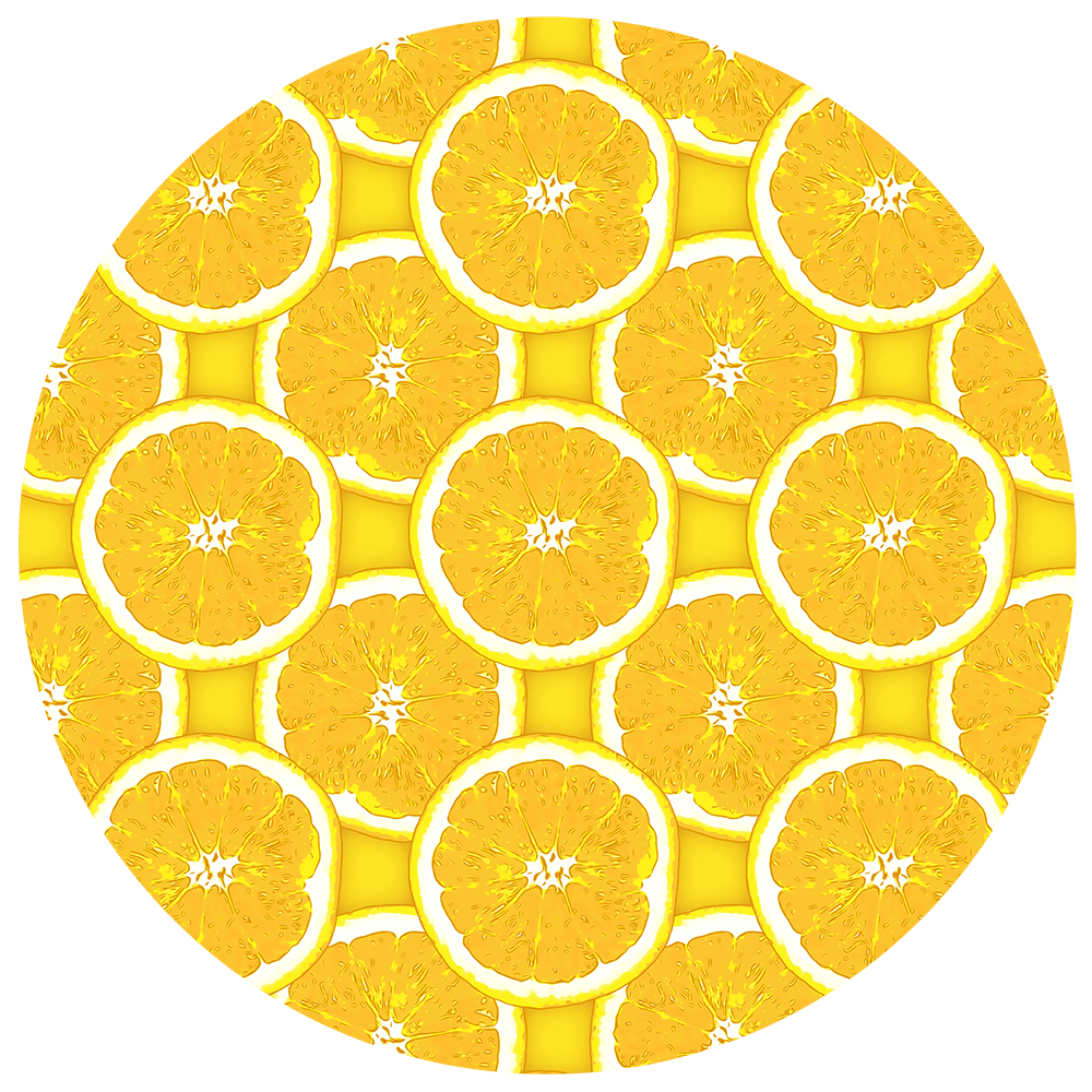 Orange Slice Vector at Collection of Orange Slice
