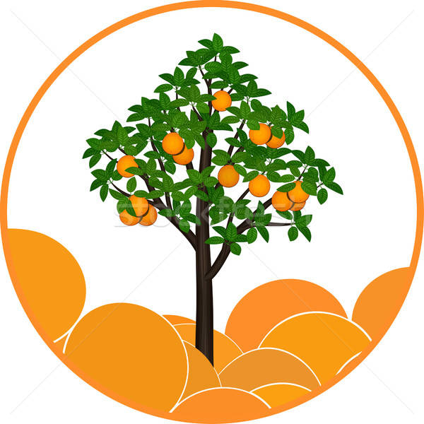 Orange Tree Vector at Collection of Orange Tree