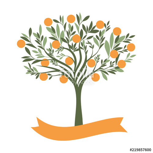 Orange Tree Vector at Collection of Orange Tree