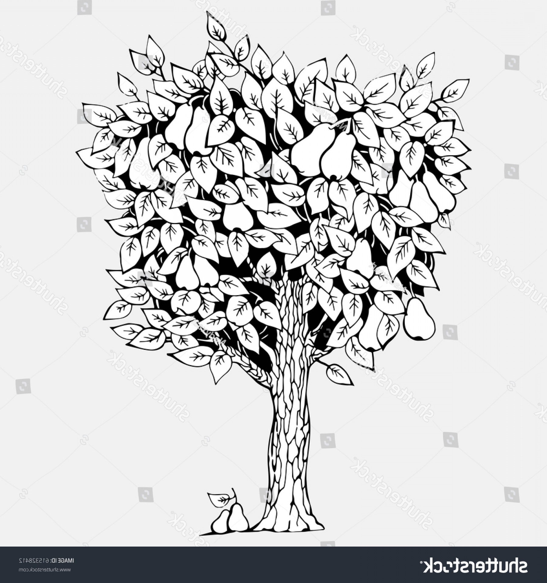 Pear Tree Vector at Collection of Pear Tree Vector