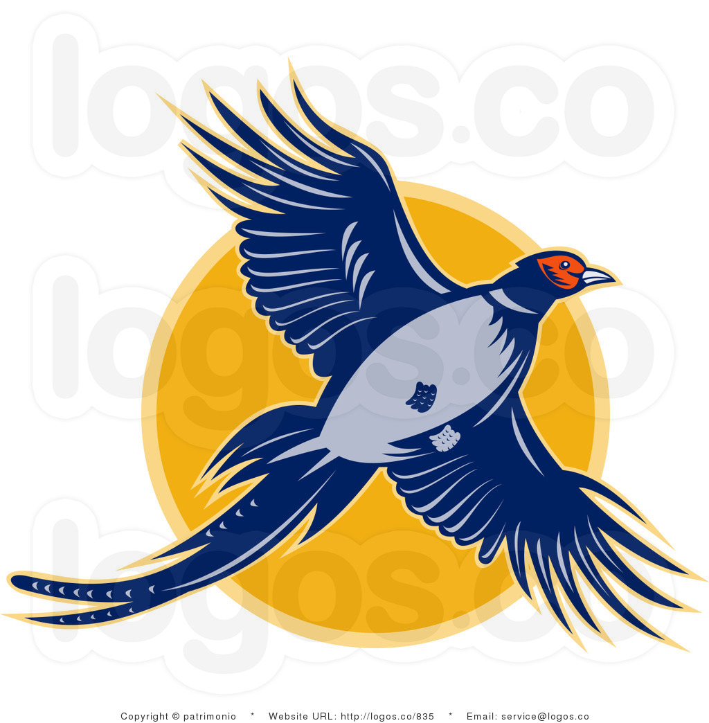Pheasant Vector at Collection of Pheasant Vector free