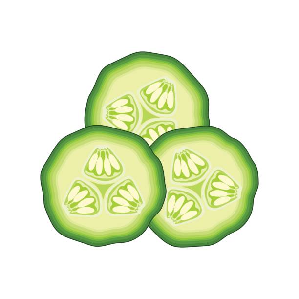 Pickle Vector at Collection of Pickle Vector free for